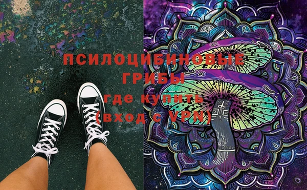 spice Корсаков