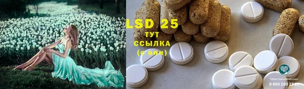 spice Корсаков