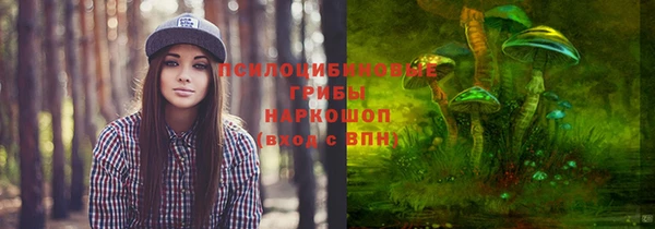 spice Корсаков