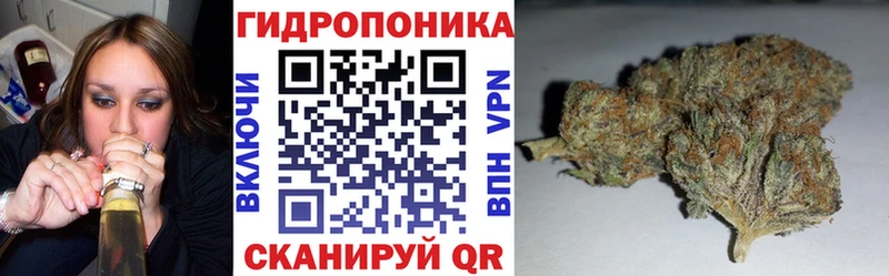 Канабис сатива  Купить где  Палласовка 